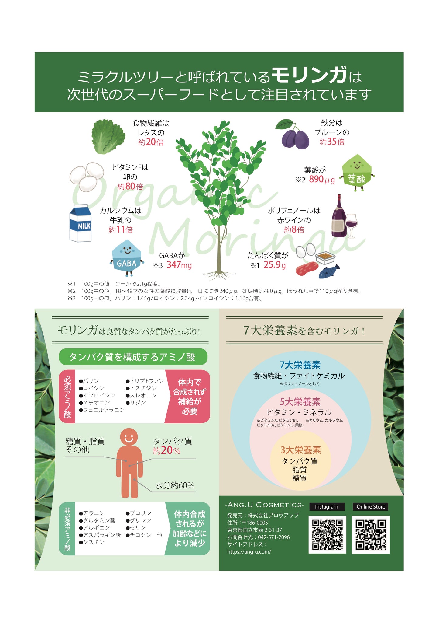 Moringa Tablet Suplement